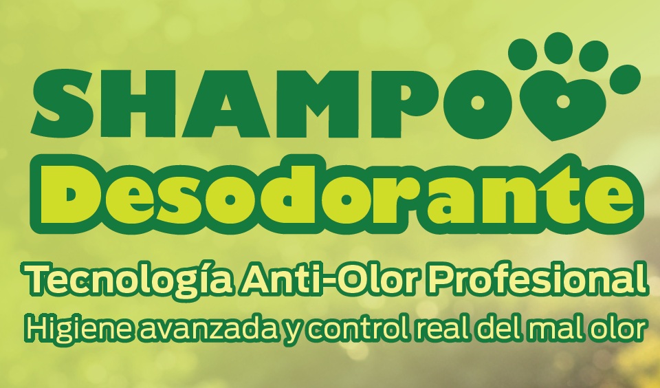Producto 1